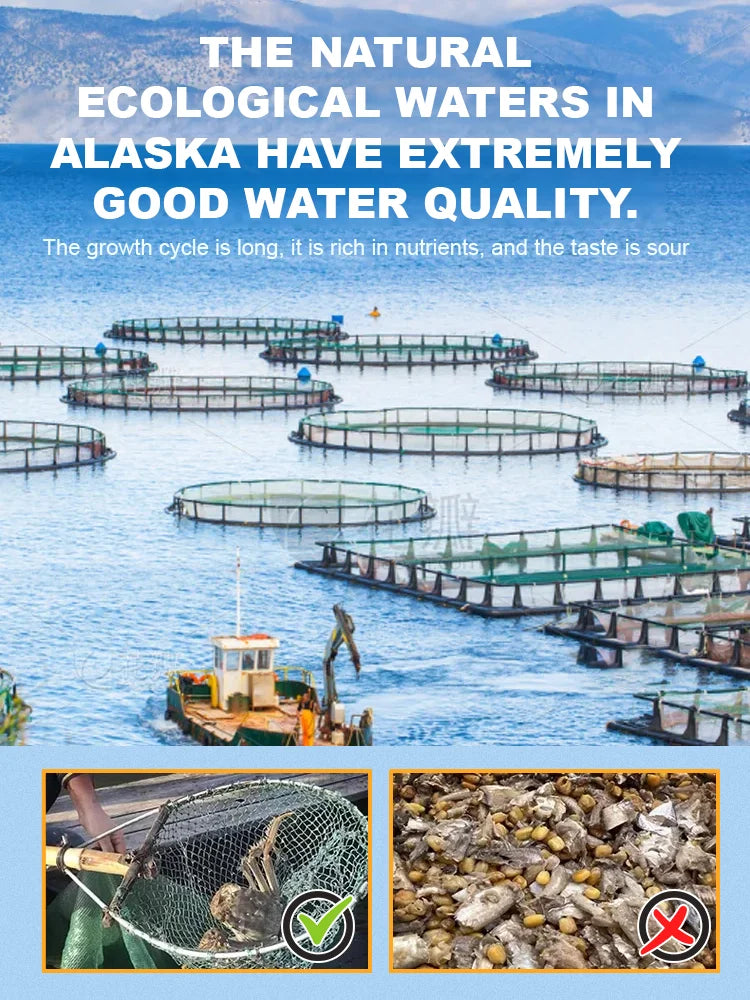 Alaskan Snow Crab Ready-to-EatCrispy Crab-sean